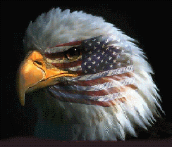 eagle logo